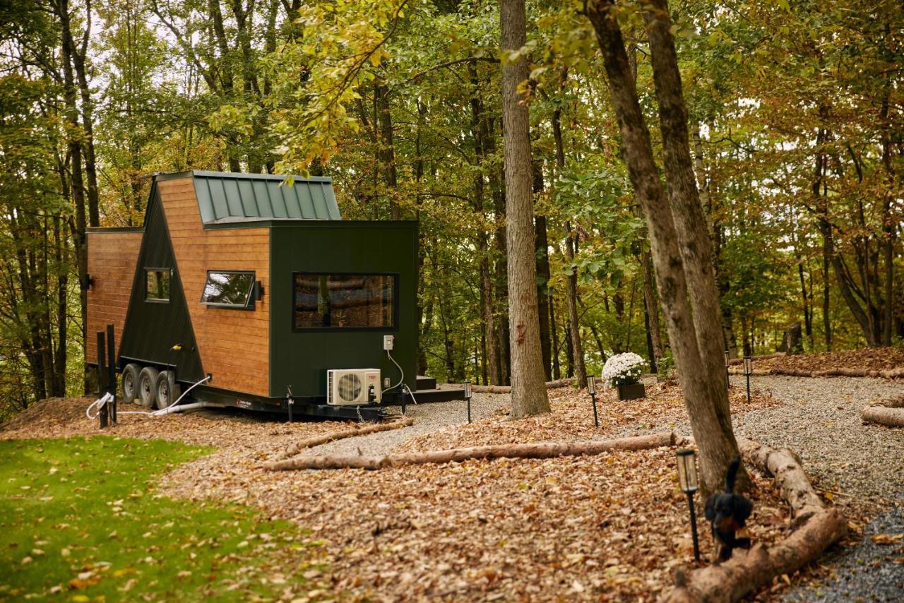 Sowilo Holiday home *